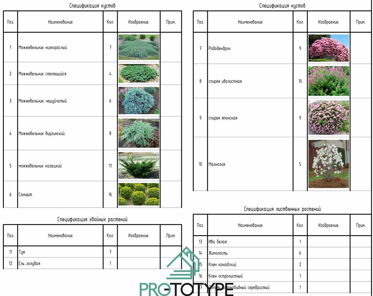 Спецификация кустов с фотографиями как выглядит растение